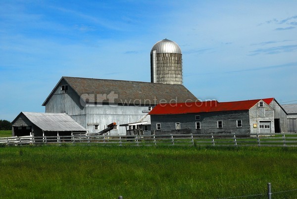 Saratoga County Farm II