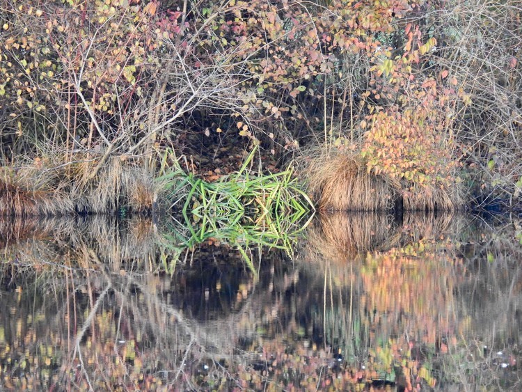 Kaleidoscope
