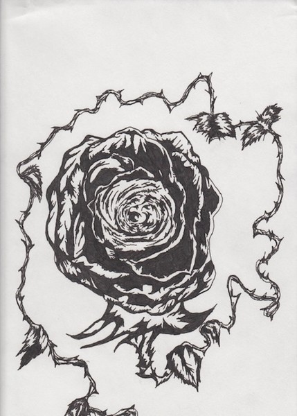 rose
