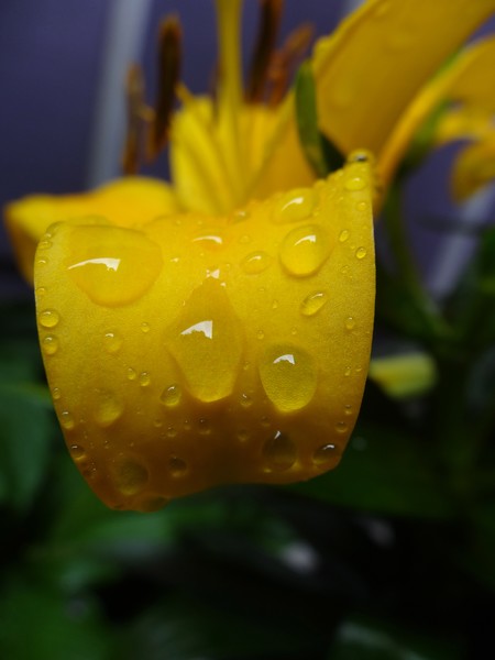 DSC09617