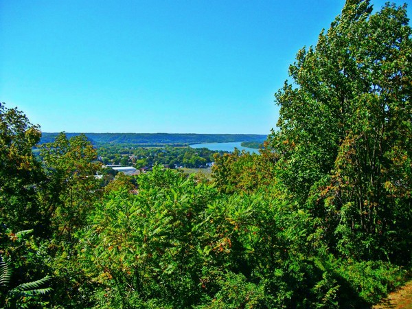 Butler Park Overlook