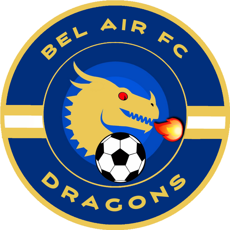 Dragons Football Club Logo