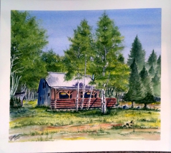 Colorado Mountain Cabin Sold
