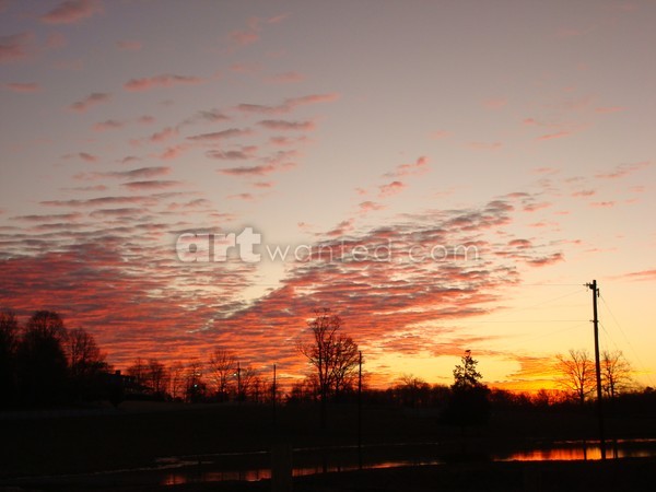 DSC00518