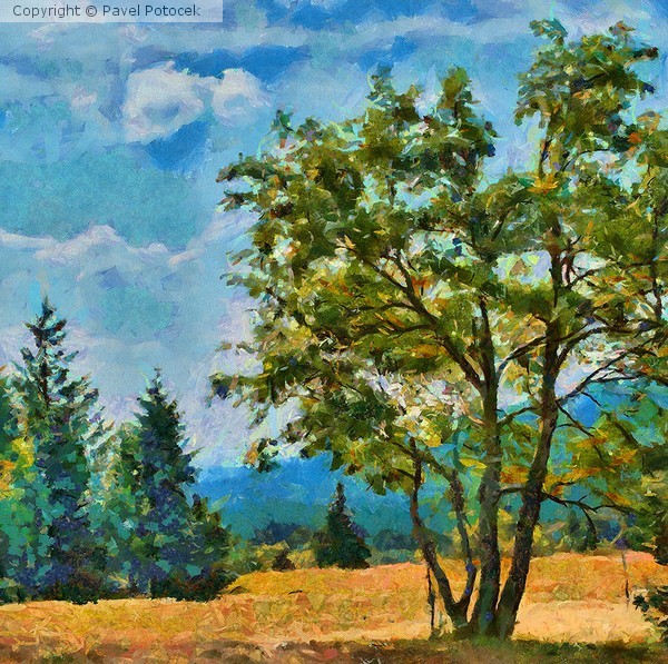 At the end of Orlicke Mountains