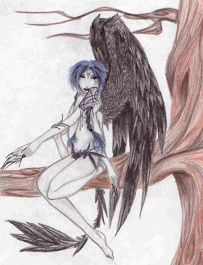 The Harpy