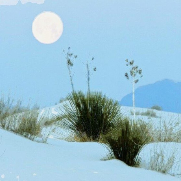 Beautiful Moon Glow On New Desert Snow