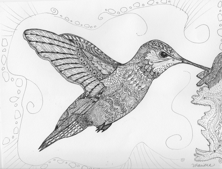 Hummingbird feeding