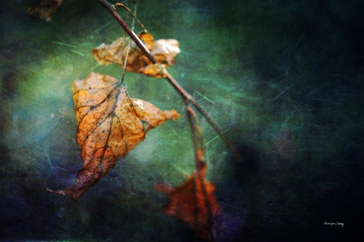 Fading Time