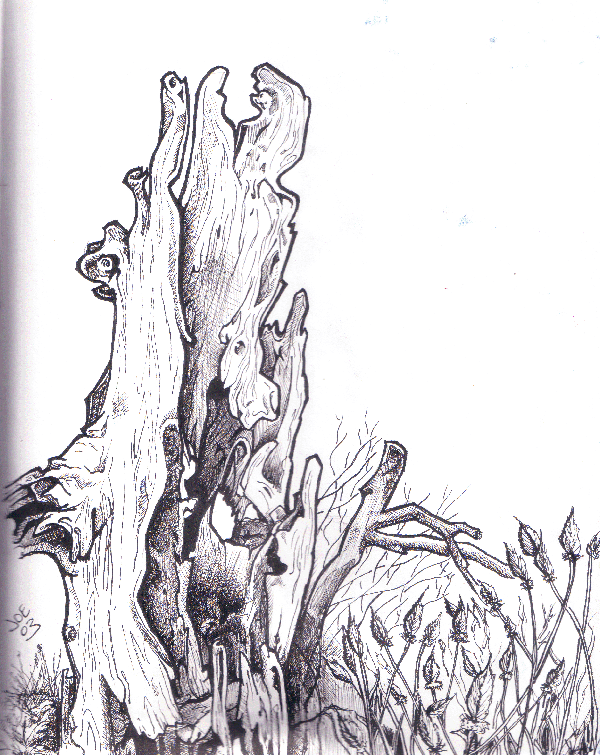 stump