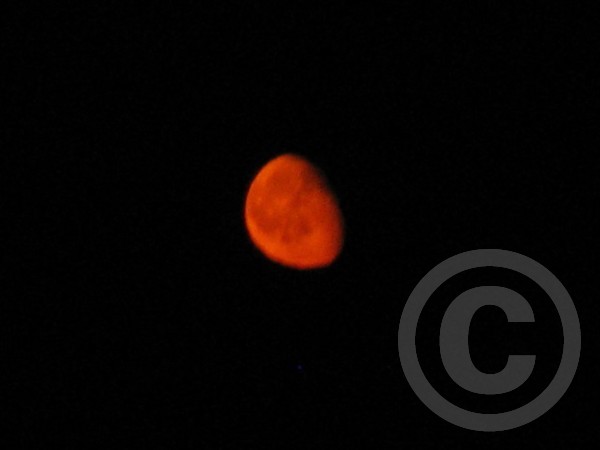 ogmoon