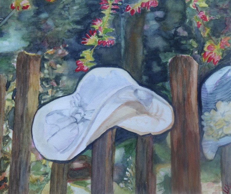 Hats on the fence
