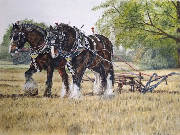 Shire