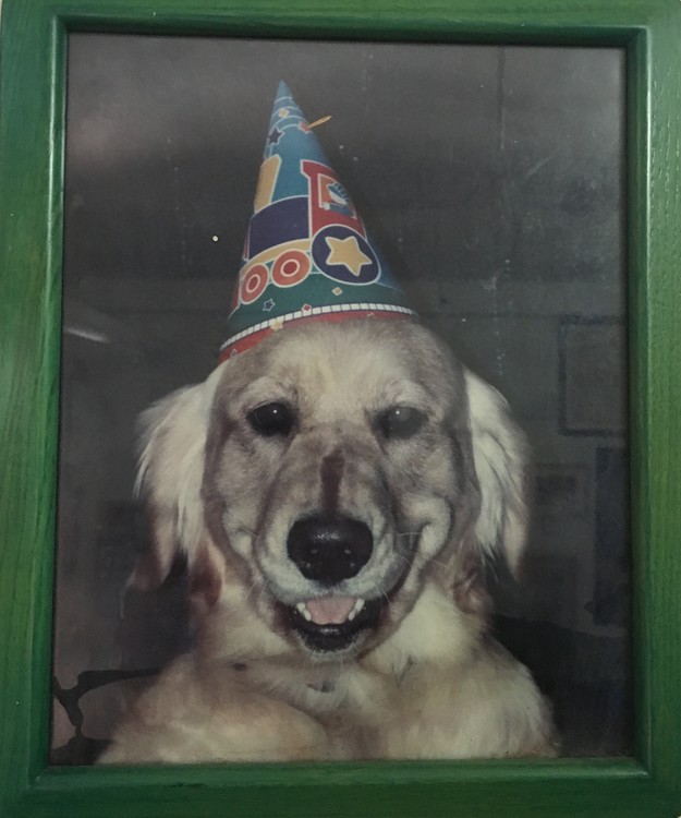 Best Birthday Ever