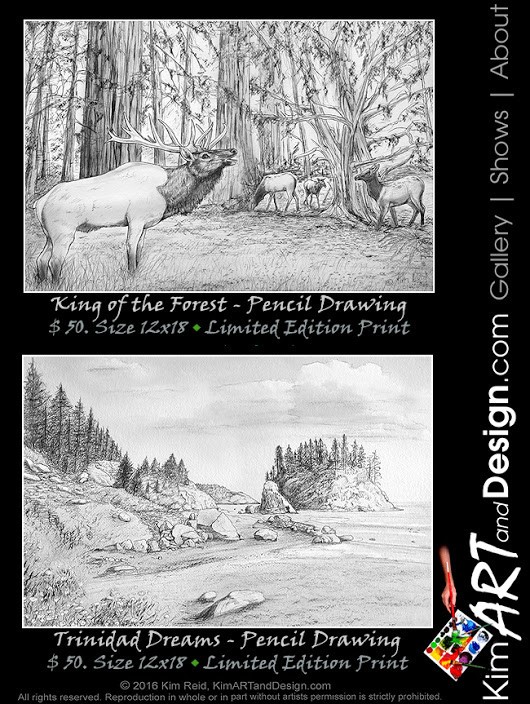 Pencil Samples