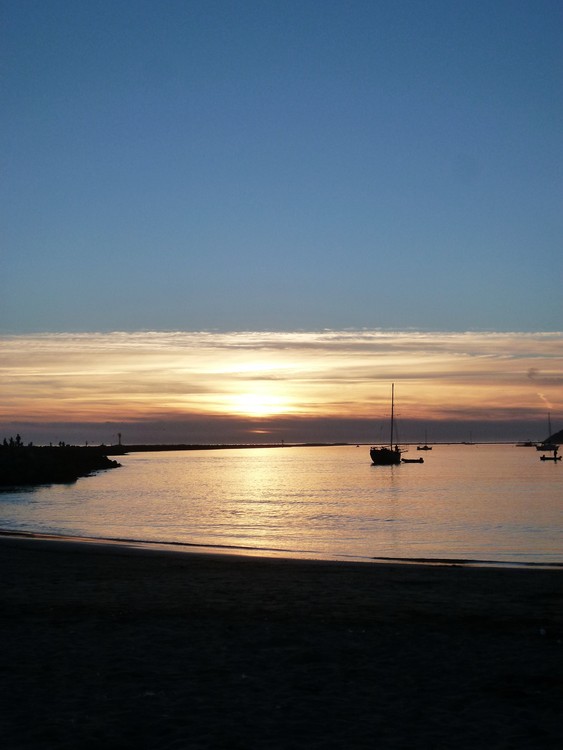 Bay