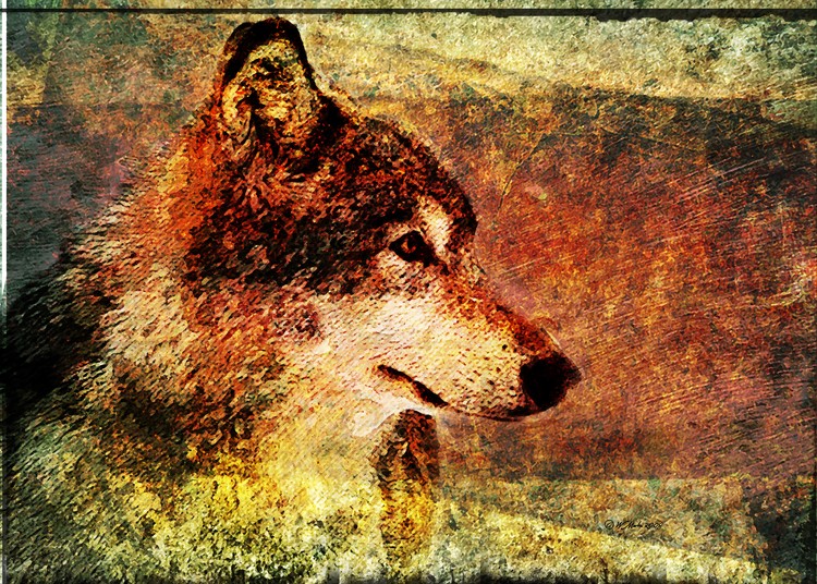 Wolf Etch LARGE
