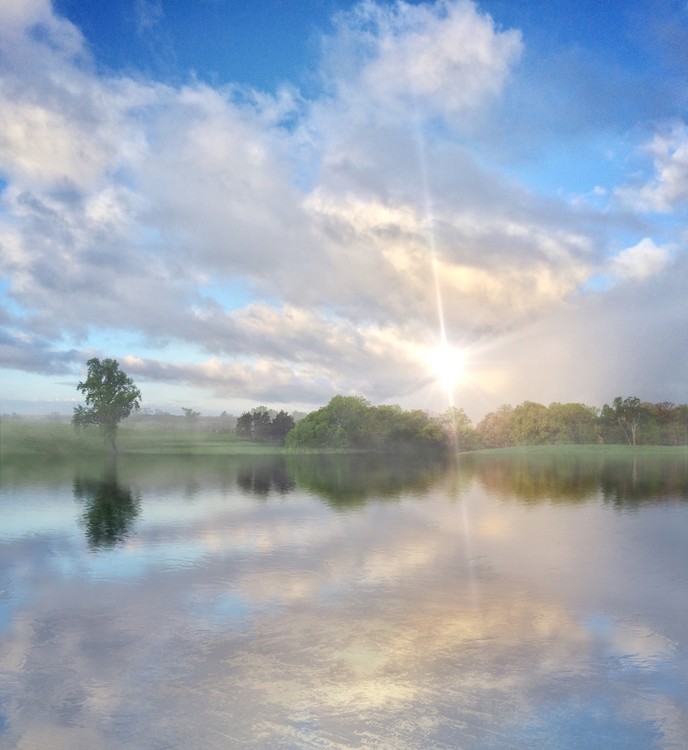 June Morning
