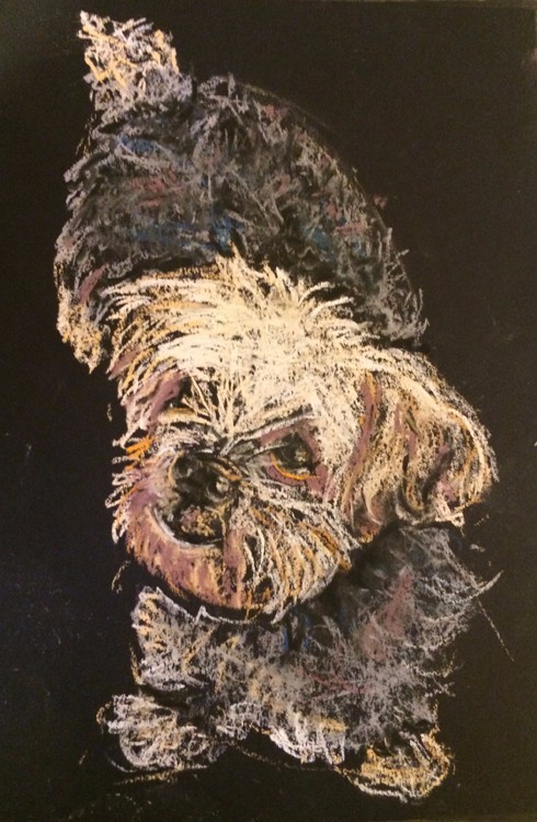 Sophie Drawing
