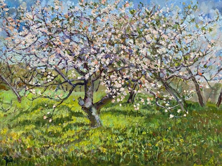 Blossoming Apple Trees in Tetritskharo