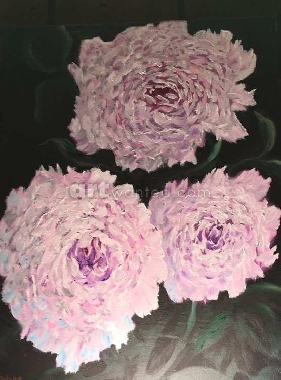 Pink Flowers
