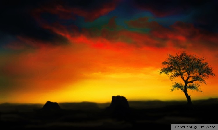 Morning Splendor 