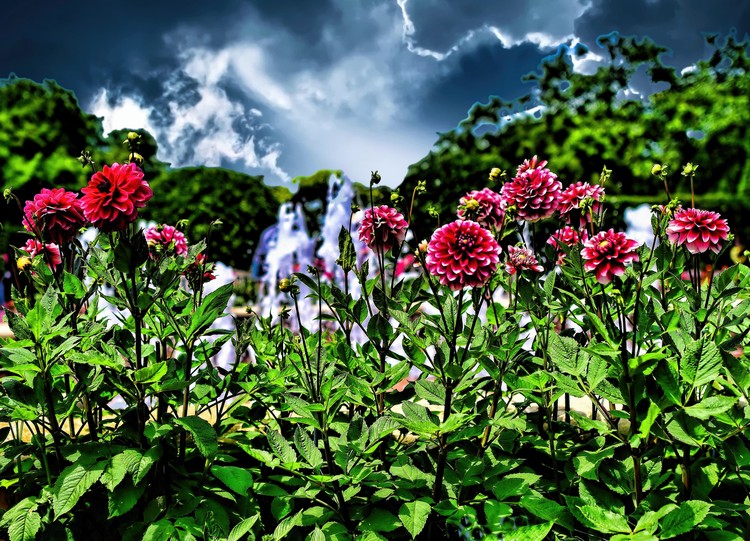 Biltmore Estate Greenhouse