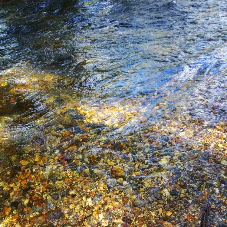 IMG 20200719 195859 013