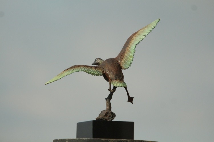 Flying Duck