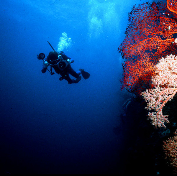 Diving the deep wall