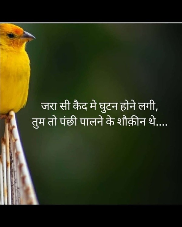 On my status brings for you new Whatsapp Attitude Status for boys and girls