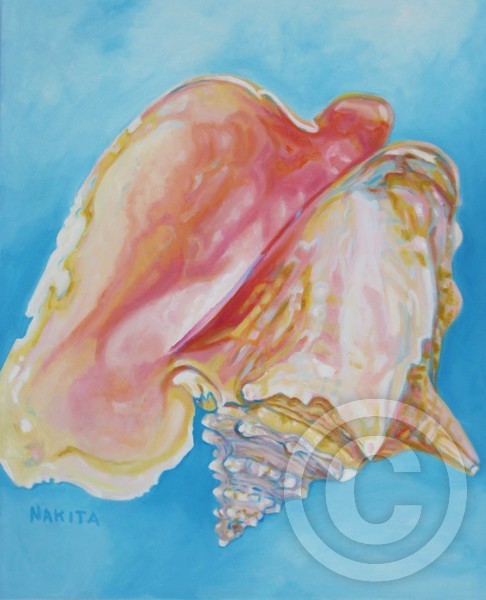 lambi conch