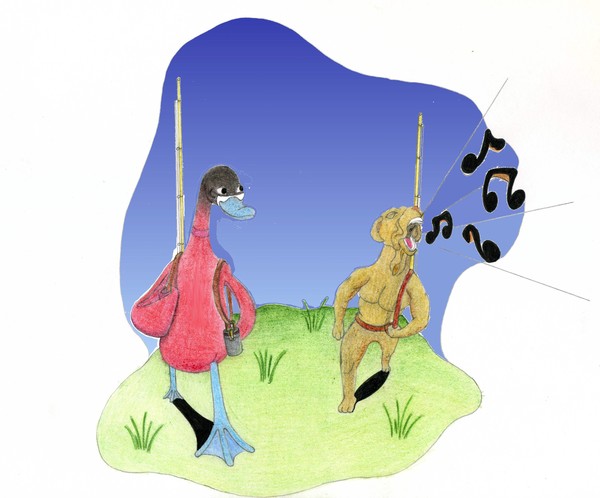 Duck & Dog singning