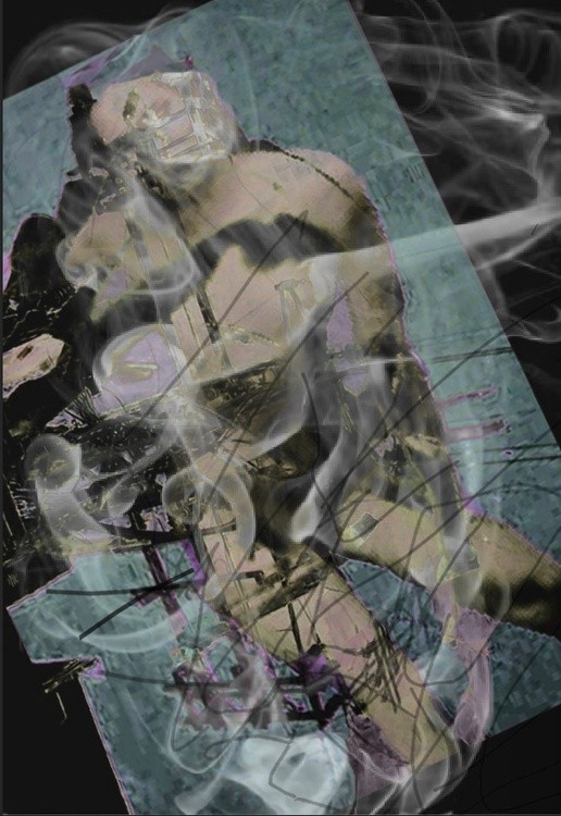 Carnation in smoke,2022