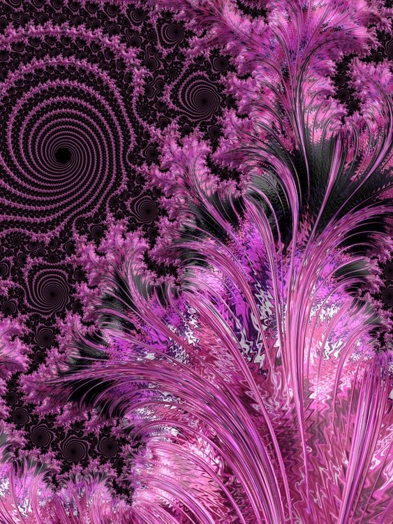 Fractal Art #302343