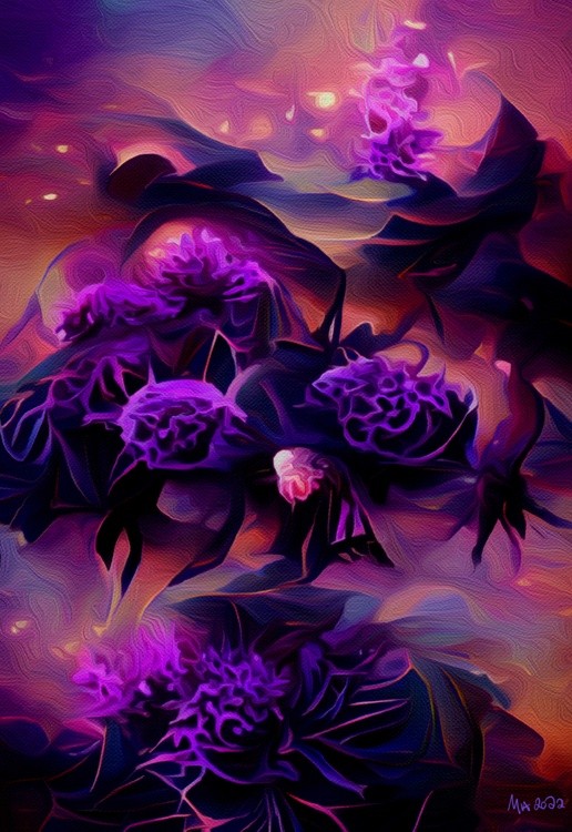 Purple Fractal Flowers