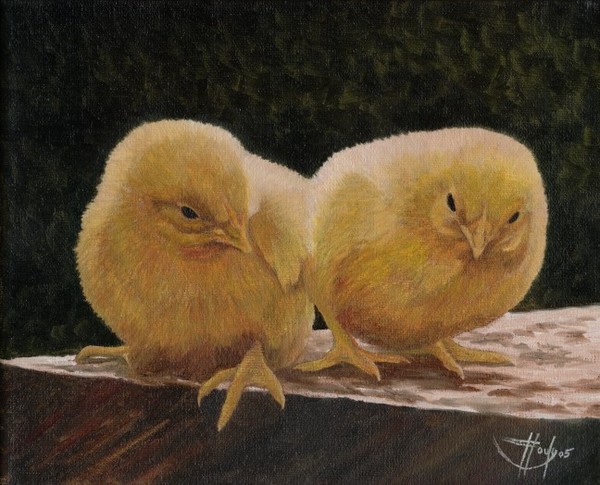 Double Yolk