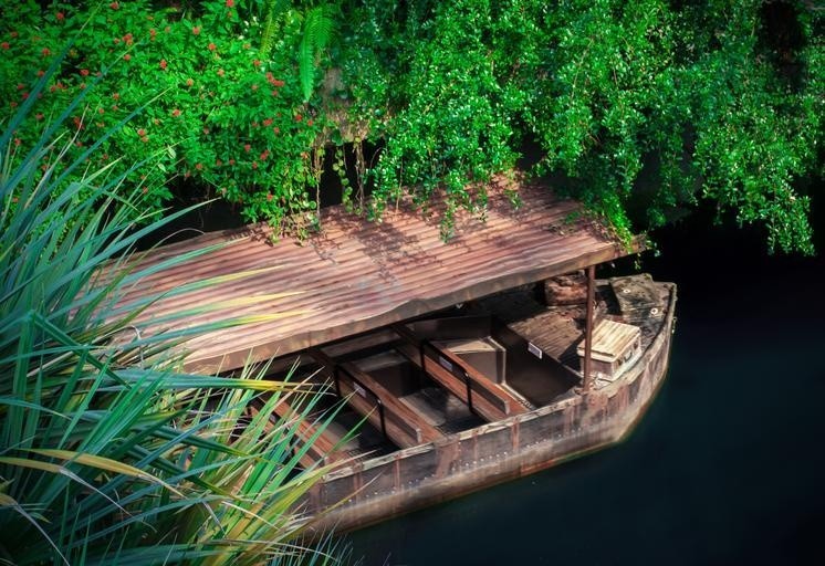 boot tropics river water