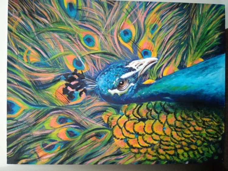 Peacock 
