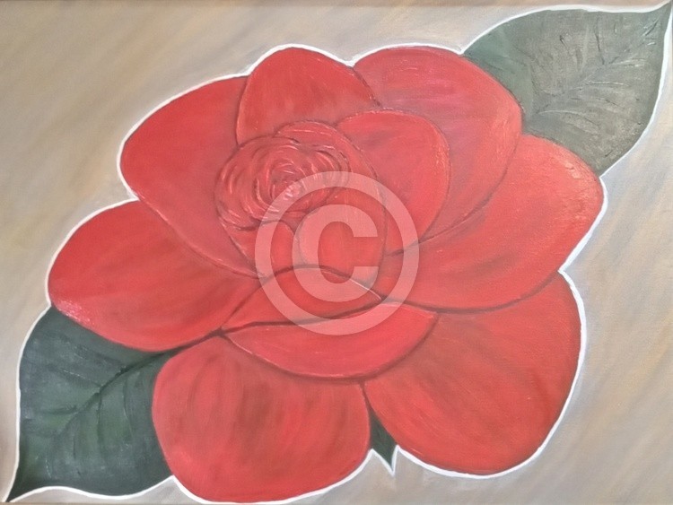 Brilliant  Red Rose