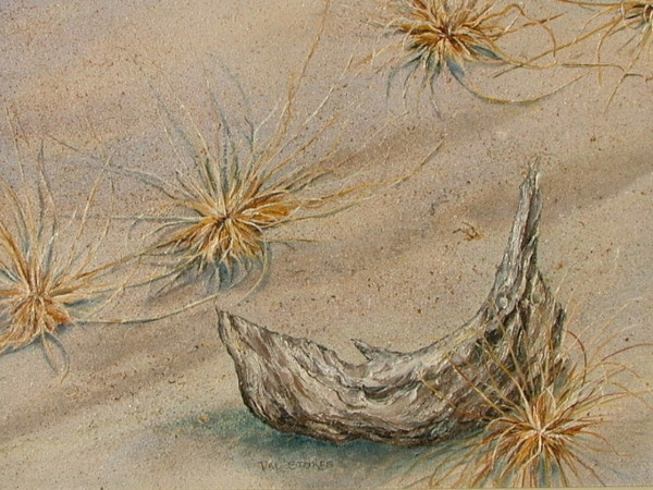 Tumbleweeds