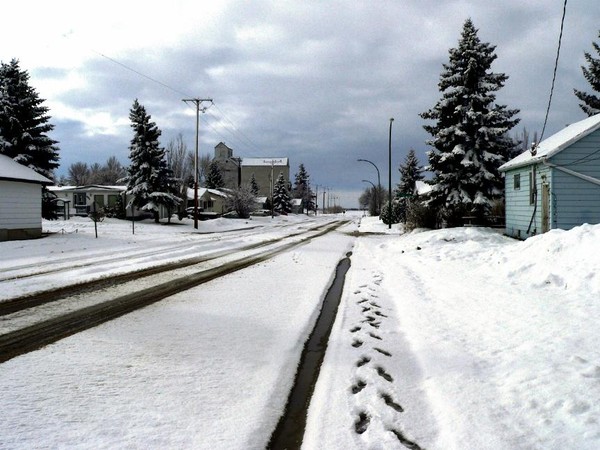 Spring Snow