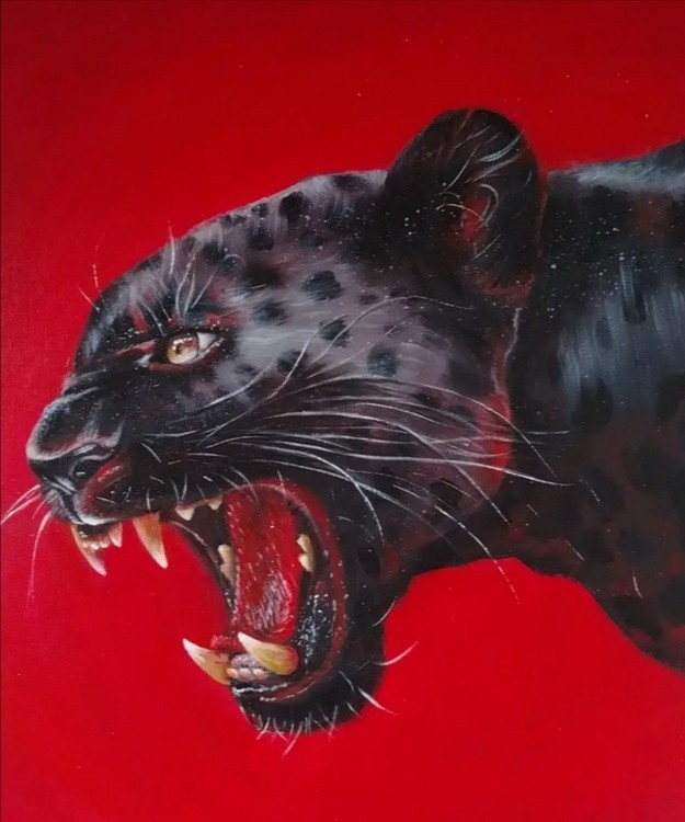 Animal