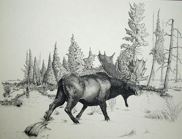 Bull