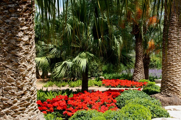 A Garden is a Love Song