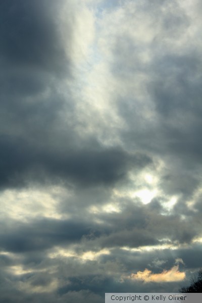 The Sun Shines Thru