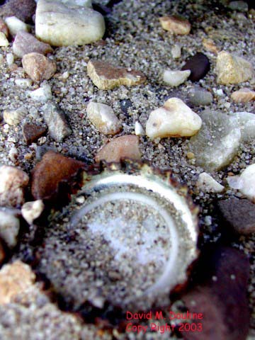 Bottle Cap
