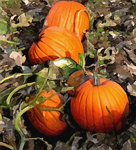 Colors of Fall