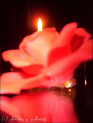 Rose and Flame