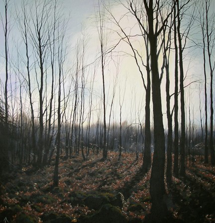 December woods